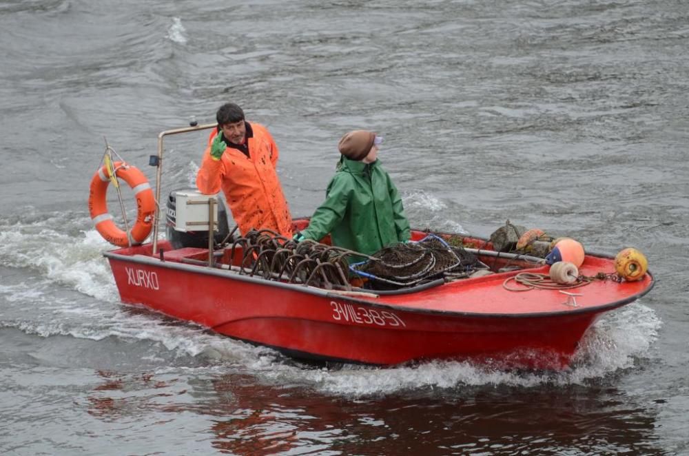 Pesca de lamprea en el río Ulla