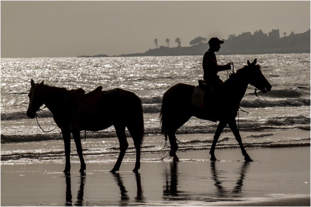 Un passeig per la platja. Imatge curiosa. A les platges d’Agadir, al Marroc, es pot fer un passeig a cavall, una activitat molt diferent de les que es realitzen a les nostres platges durant l’estiu.