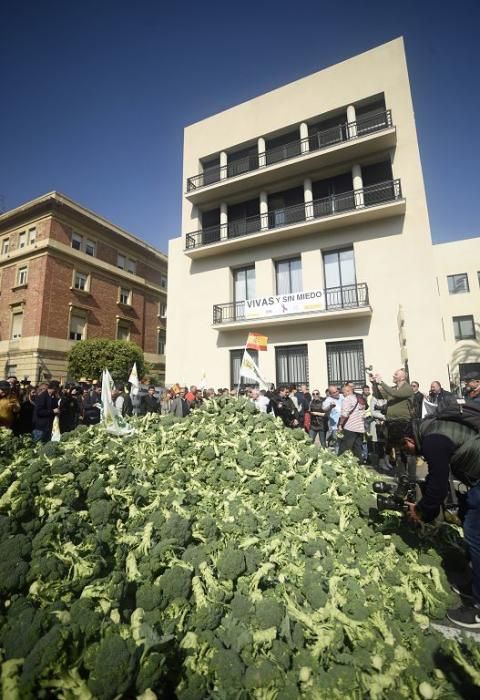 Así ha sido la manifestación de los agricultores en Murcia (II)