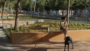 Badalona fa de la rambla de França un "eix renaturalitzat"