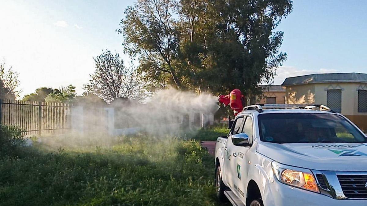 Archivo - Imagen de archivo de tareas de control de mosquitos en el entorno de la desembocadura del Guadalhorce, en Málaga.