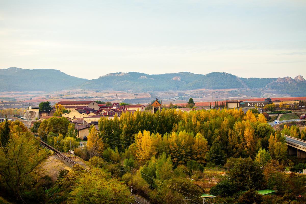 Ferrocarril con bodegas de Haro.