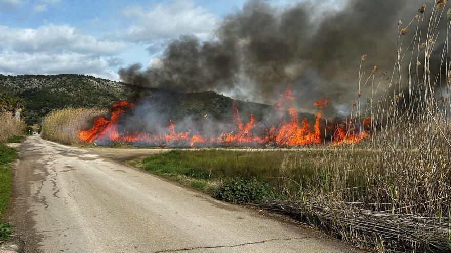 Declarado un incendio forestal en la zona de s&#039;Albufera, en sa Pobla