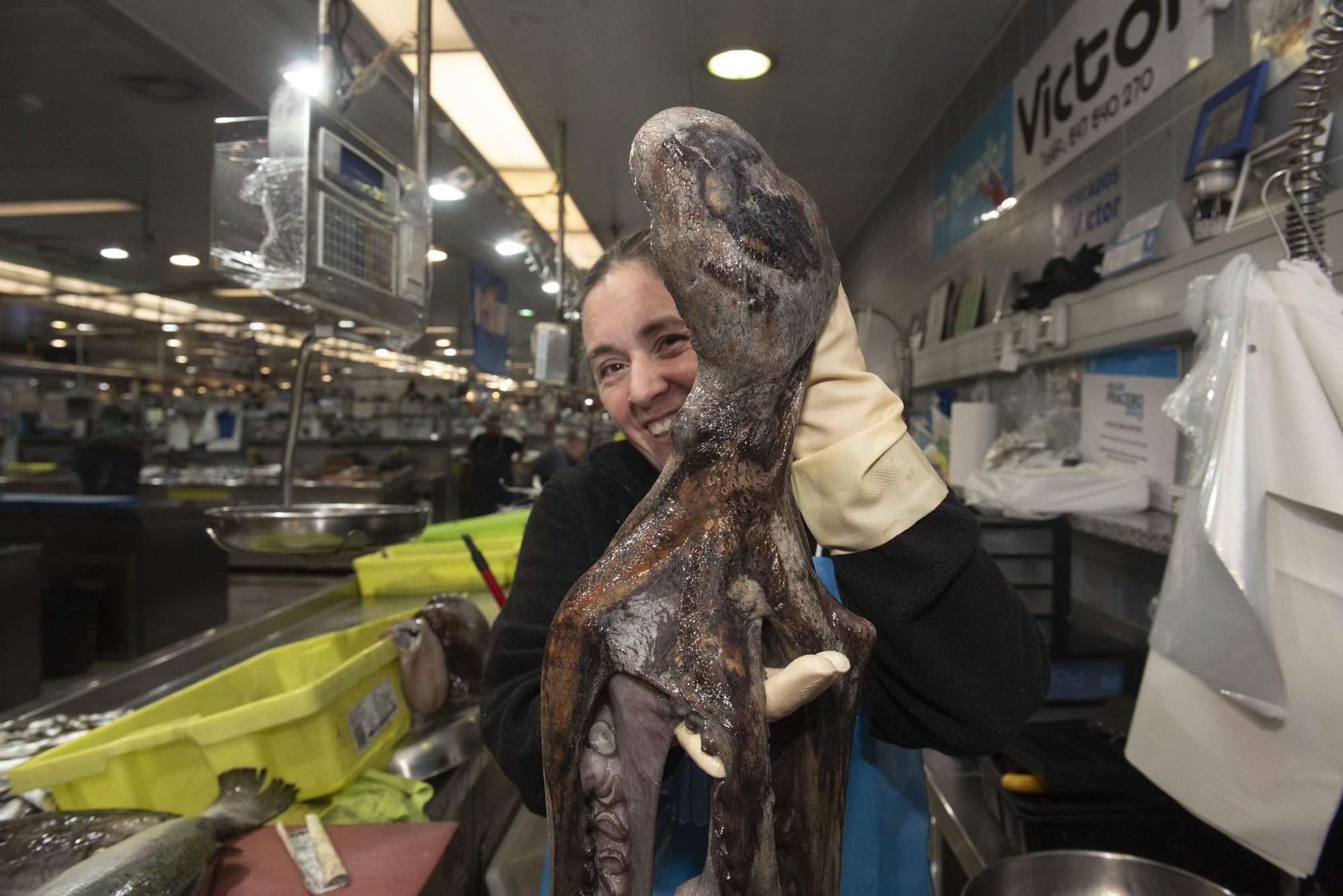 El pulpo gallego vuelve a los mercados de A Coruña tras tres meses de veda