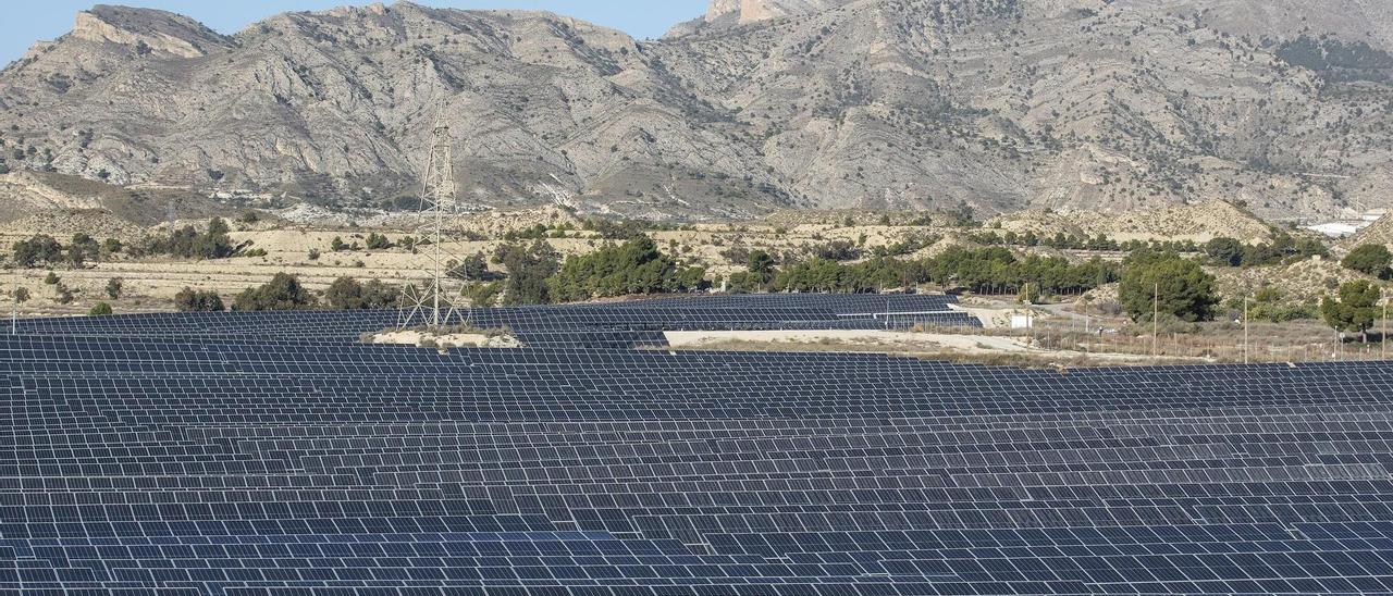 Planta fotovoltaica a Xixona, en una imatge recent