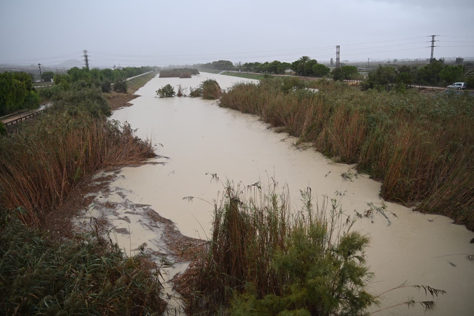 Así está el río Segura en Guardamar