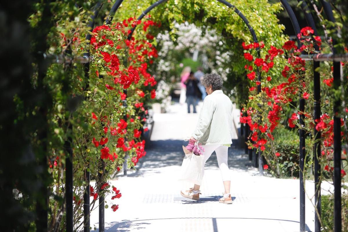 En imágenes | Presentación del Zaragoza Florece en el Parque Grande José Antonio Labordeta
