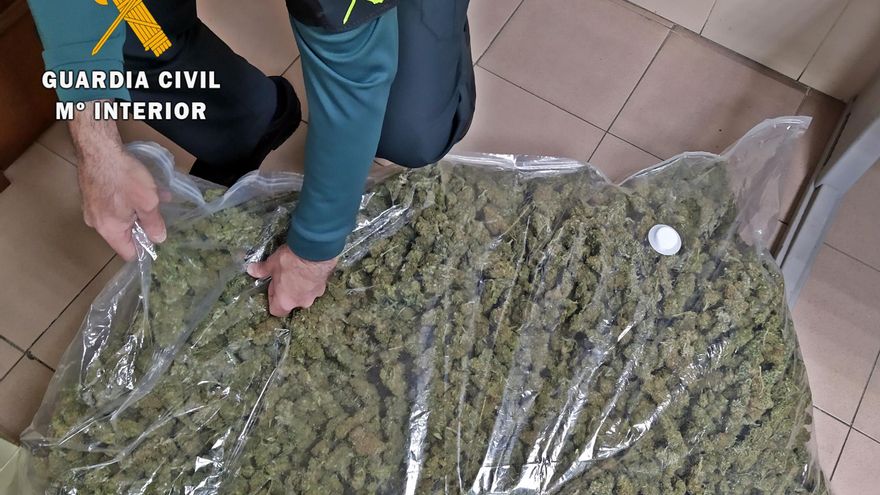 Detenida en Almendralejo una vecina de Lisboa con ocho kilos de cogollos de marihuana en su coche