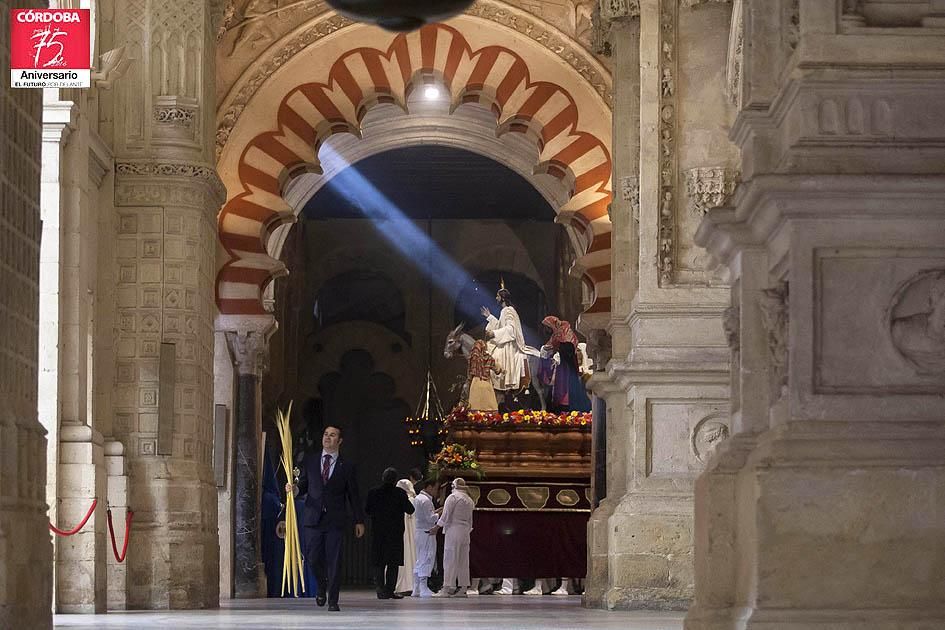 FOTOGALERÍA / Hermandad de Nuestro Padre Jesús de los Reyes en su Entrada Triunfal en Jerusalén