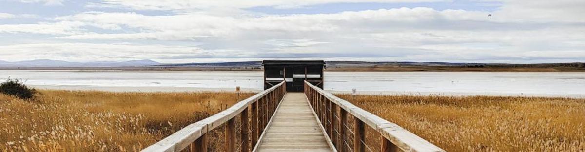 Laguna Gallocanta