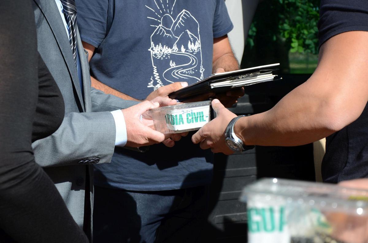 Diese Schildkröten sollen zwei Deutsche auf Mallorca illegal gezüchtet haben Diese Schildkröten sollen zwei Deutsche auf Mallorca illegal gezüchtet haben