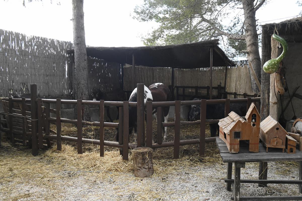Así es el Belén viviente de El Raal