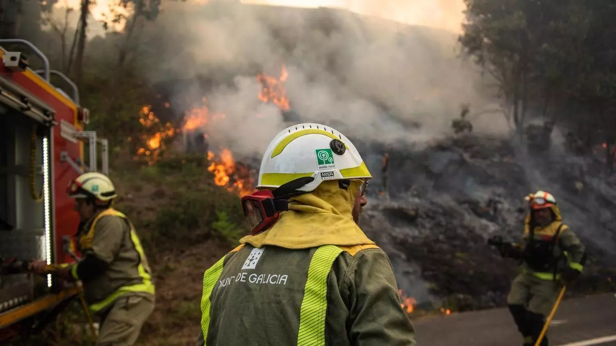 Medio Rural impulsa casi 200 nuevas plazas de brigadistas tras los incendios del verano