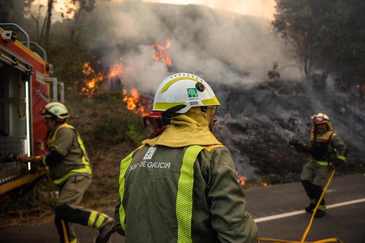 Agentes de las brigadas forestales, apagando un incendio el verano pasado.
