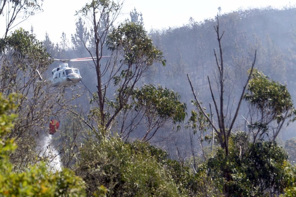 Incendio forestal en Cotobade