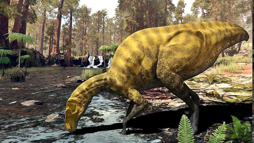 Descubren una nueva especie de dinosaurio de ocho metros en Portell - Levante-EMV Descubren una nueva especie de dinosaurio de ocho metros en Portell - Levante-EMV