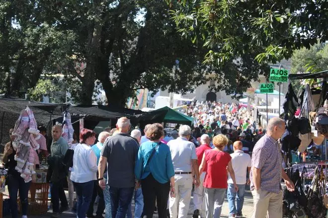 La patrona de Sanabria estrena himno en una multitudinaria romería