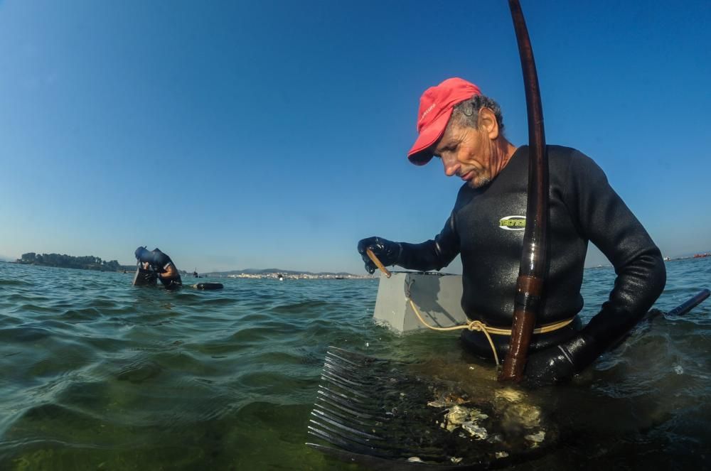 El marisqueo también genera turismo