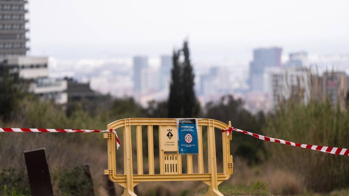 Cierre del parque de Collserola al paso de ciudadanos y vehículos por la peste porcina.