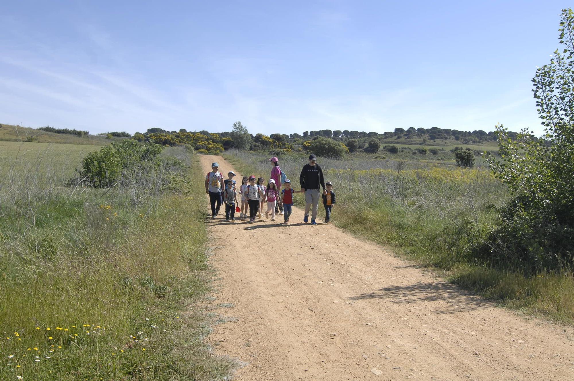 GALERÍA | "Érase una vez una senda verde" en Quiruelas de Vidriales