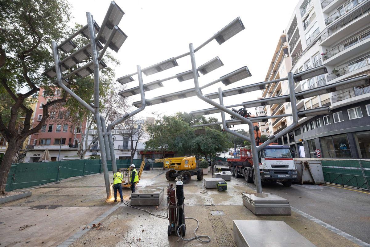 Todas las imágenes de la retirada del reloj de Vara de Rey en Ibiza