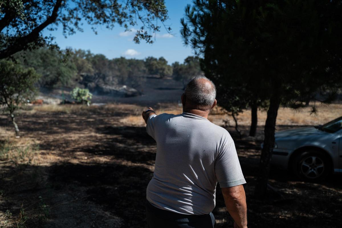 Galería | Las Viñas de Arroyo de la Luz, el día después del incendio Galería | Las Viñas de Arroyo de la Luz, el día después del incendio