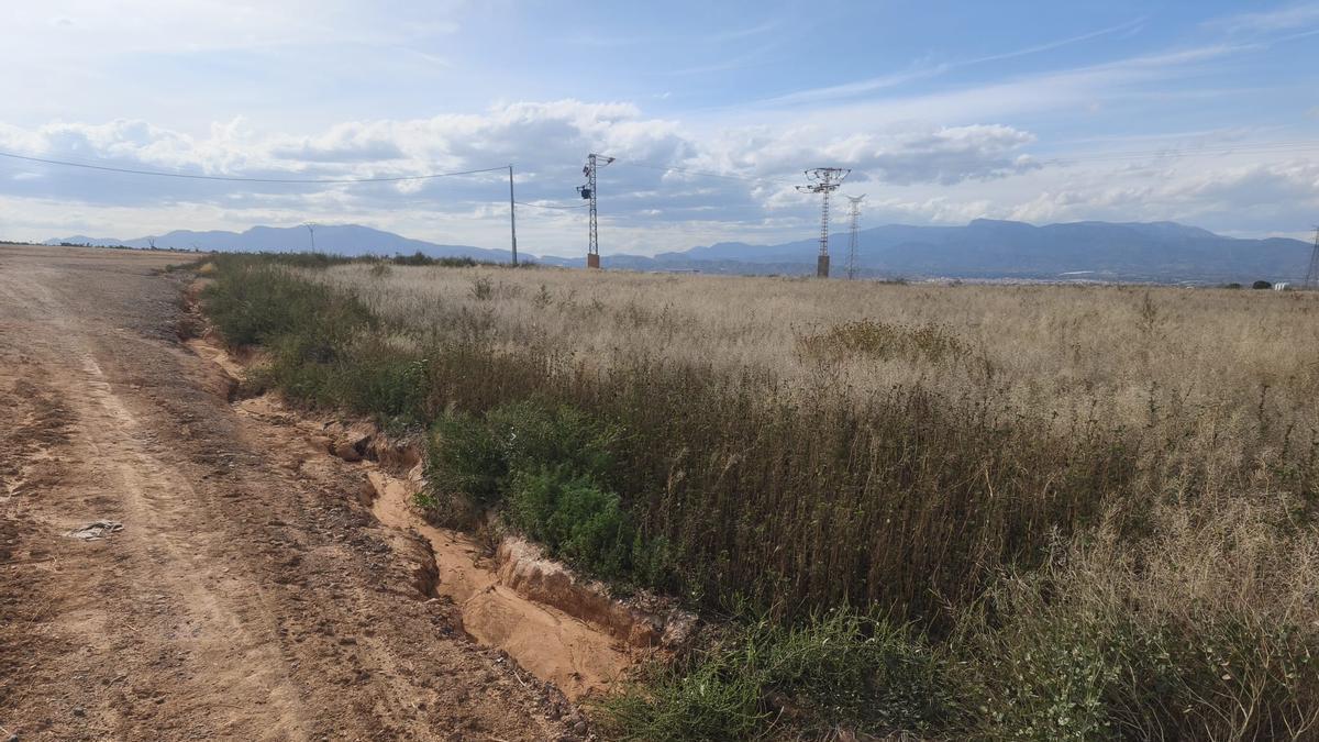 El Ayuntamiento rechaza el interés público de la planta de biogás proyectada en el paraje de Raiguero Bajo en Totana.