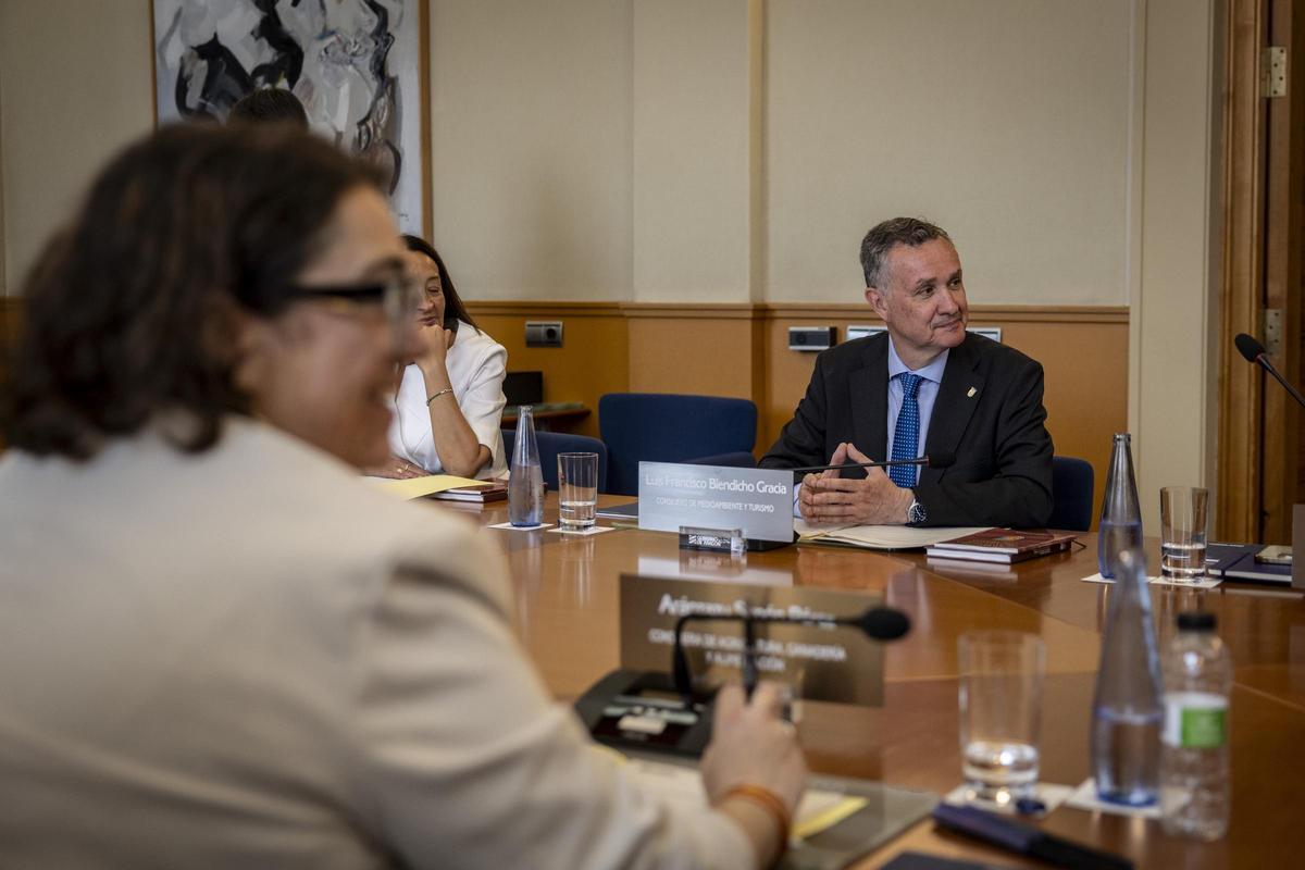 Arancha Simón, en primer plano, y Luis Biendicho son los dos nuevos consejeros de Vox en el Gobierno de Aragón.