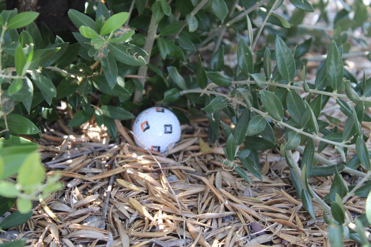 Pelota de golf en casa del afectado, caída desde el campo.
