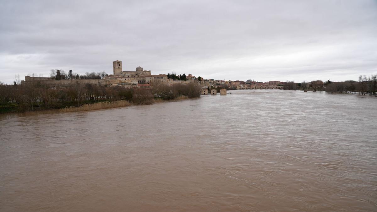 GALERÍA | Las imágenes de la crecida del río Duero en Zamora