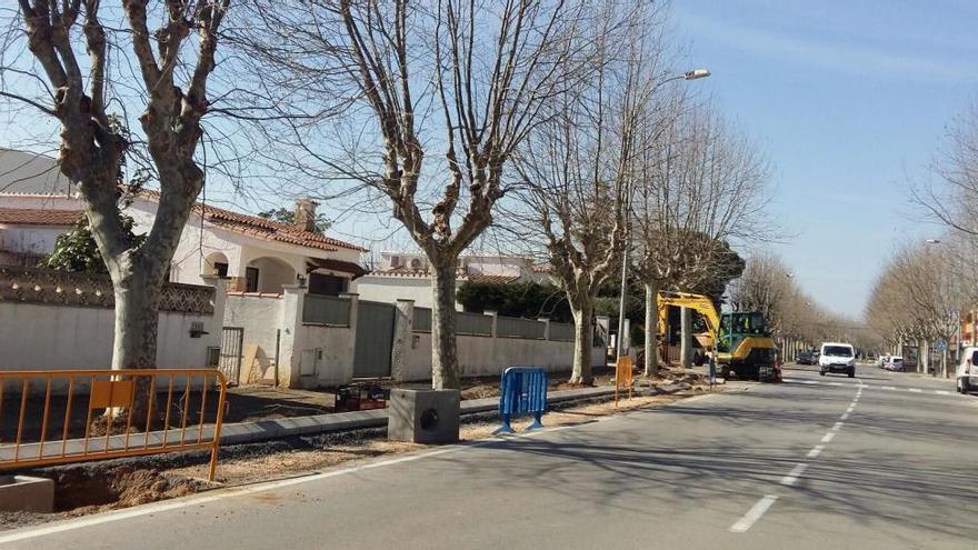 Castelló retirarà els arbres d&#039;una avinguda a Empuriabrava perquè danyen els serveis