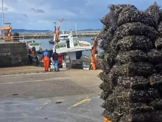 Italia y Francia aguantan mientras el mejillón desova