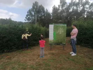 Expectación en la apertura del Labirinto de Breoghán: familias de toda Galicia disfrutan de un plan para perderse y descubrir Vilarmaior