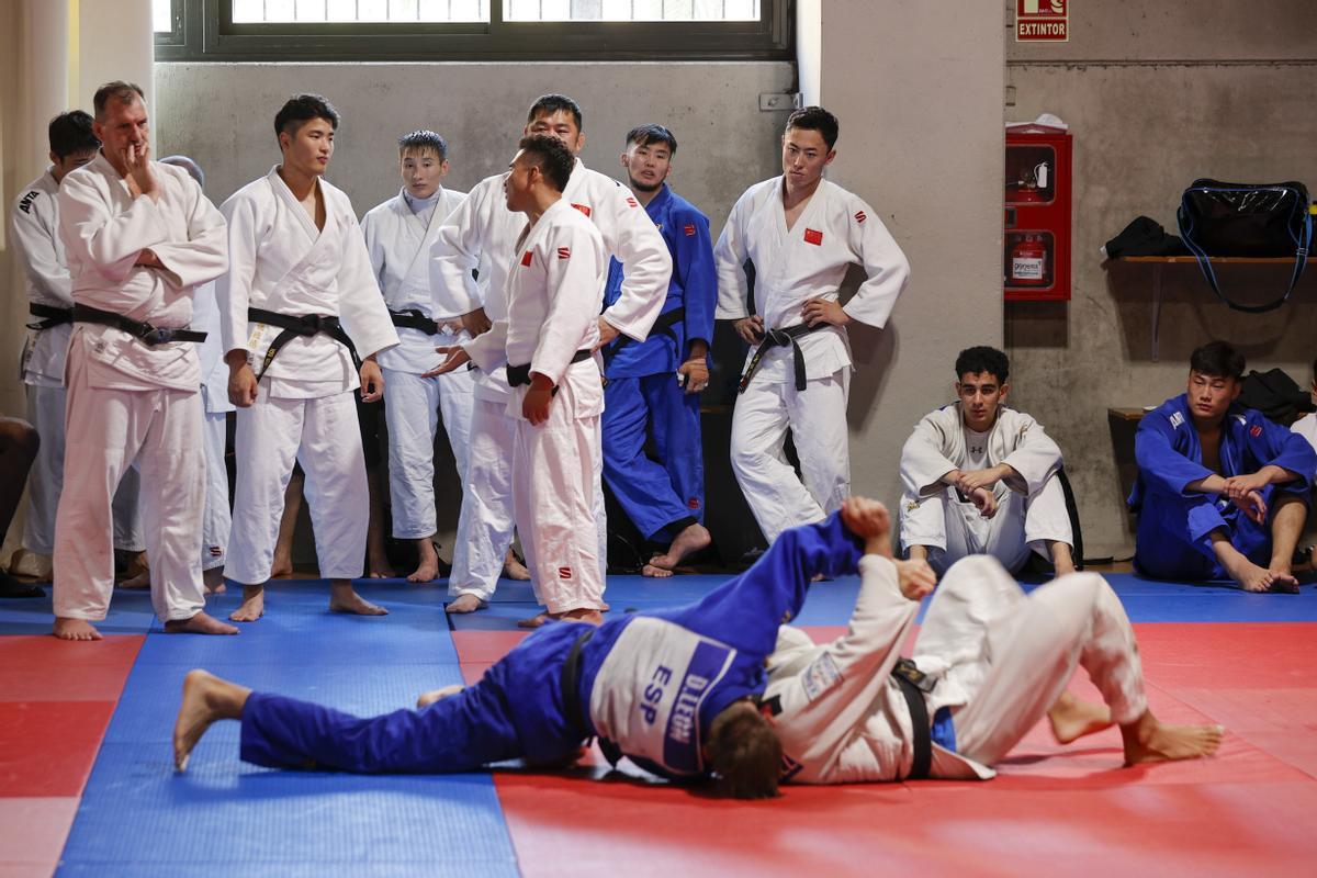 Valencia Judo Olympic Training