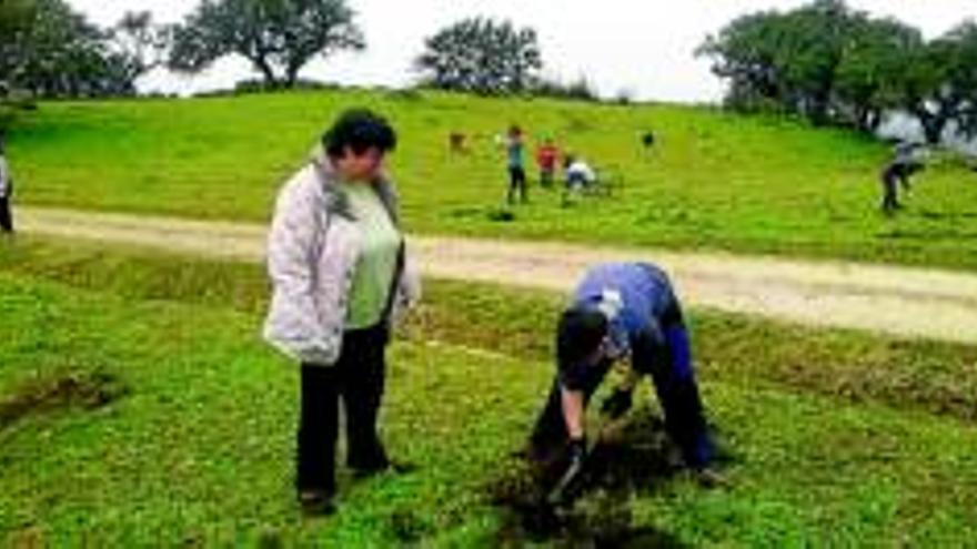 Aprosuba planta árboles en Baños de Montemayor