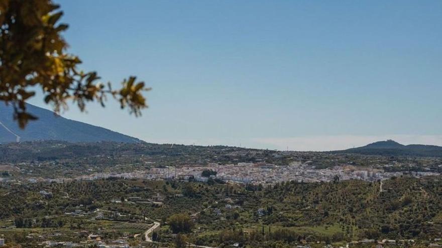 Vista panorámica de la localidad de Coín, ganadora del premio Agrícola del año.