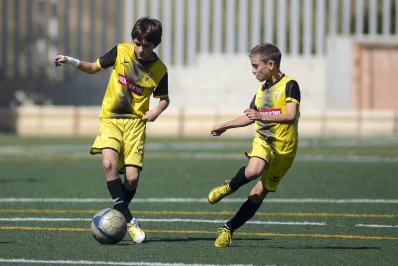 FÚTBOL: La Muela B - Segia (2ª Alevín)