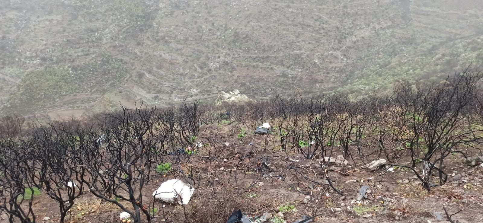 Accidente con cuatro fallecidos de una misma familia en el municipio de Gáldar