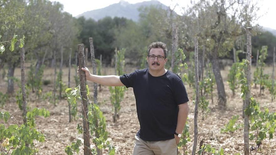 El artista Sergi Caballero (Barcelona, 1966), ayer, en las viñas de la bodega 4Kilos, ubicada en Felanitx.