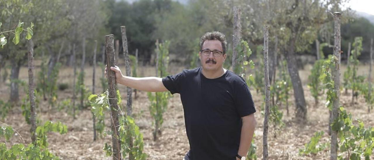 El artista Sergi Caballero (Barcelona, 1966), ayer, en las viñas de la bodega 4Kilos, ubicada en Felanitx.