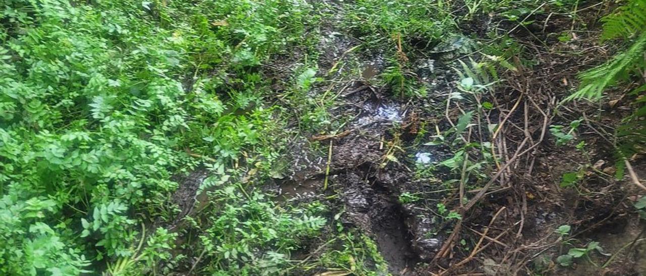 El agua obliga a que los senderistas pasen por barro.