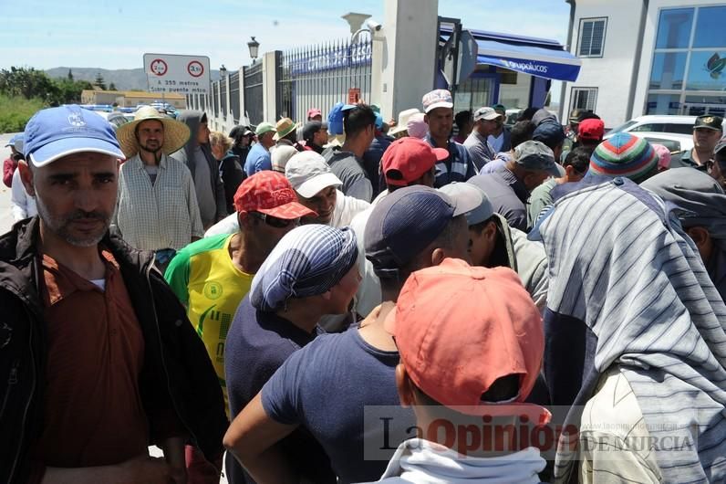 Protesta hortofrutícola en una empresa de El Raal