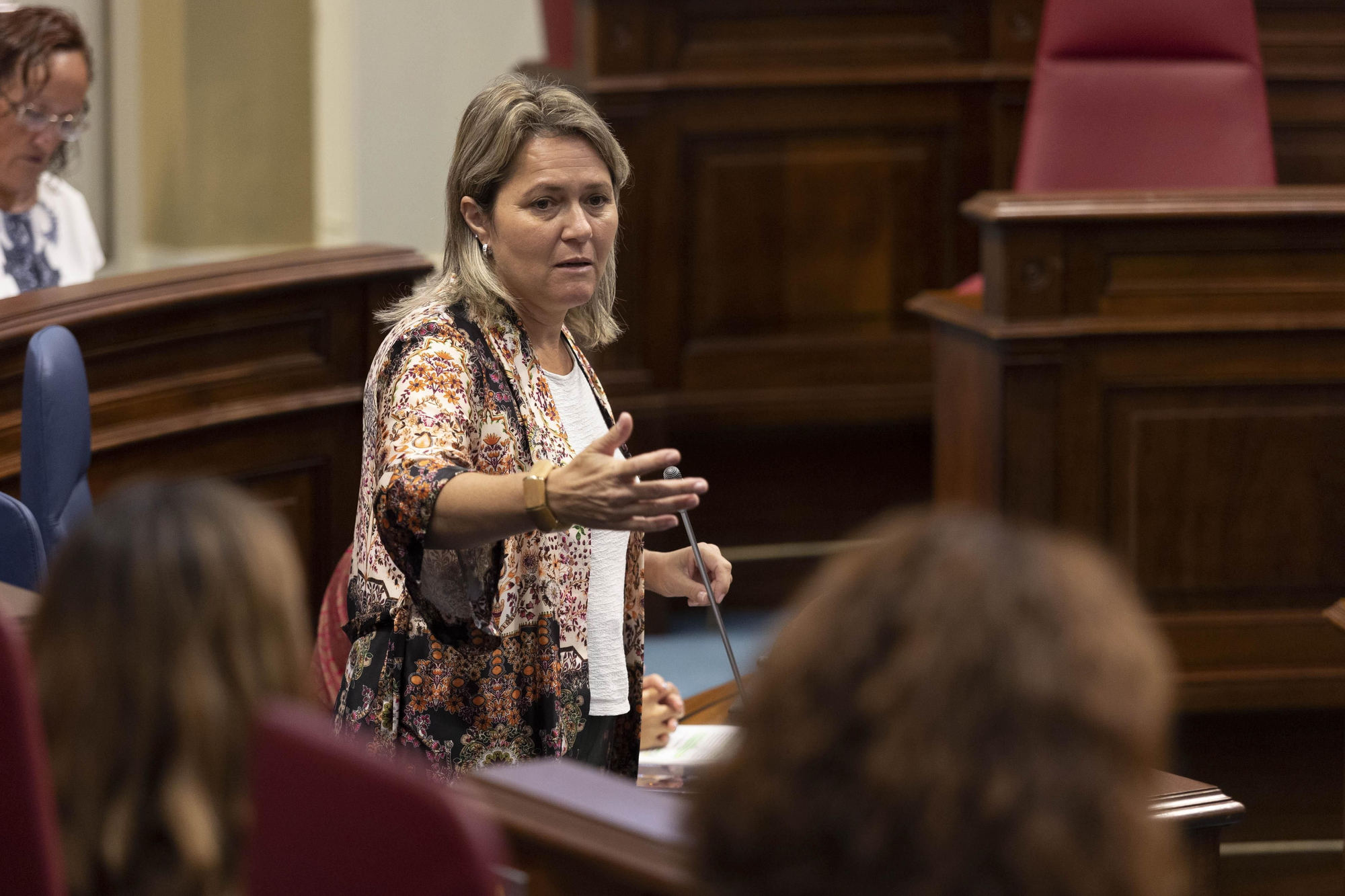 Plenary session of the Parliament of the Canary Islands