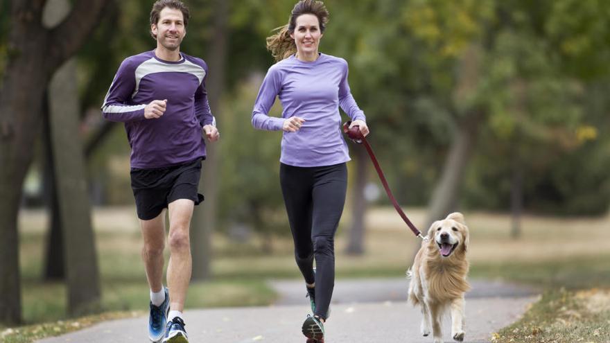 Qué usar para defendernos de animales? – Trail Running España