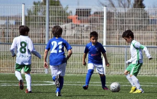 FÚTBOL: Utebo - Olivar (Benjamín)