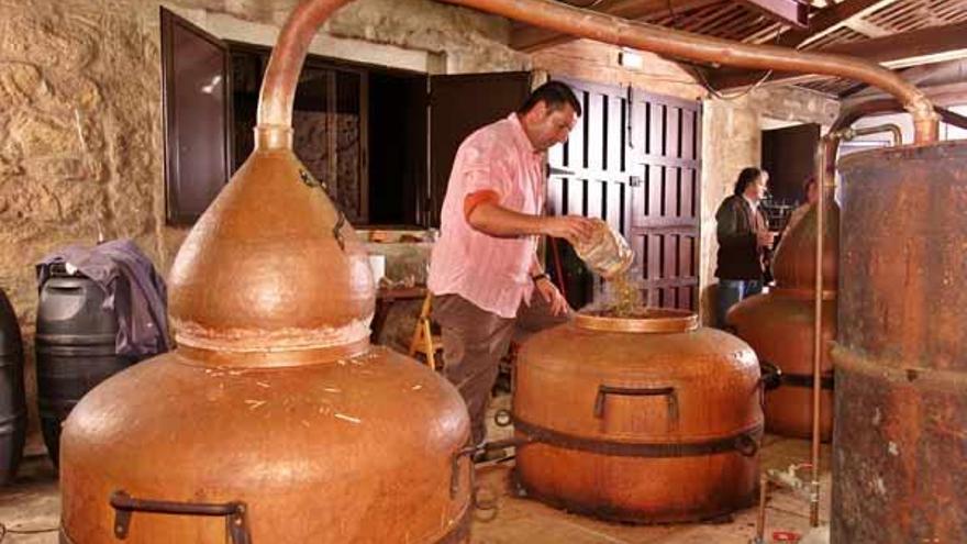 Destilado de aguardiente en los alambiques de la bodega del pazo de Fefiñáns, en Cambados.