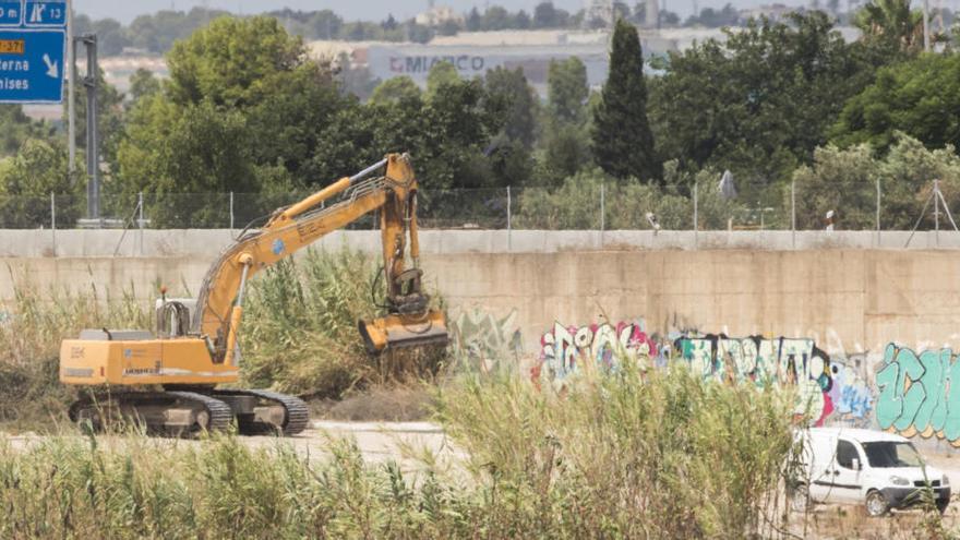 La CHJ limpia el cauce del Turia solo aguas arriba pese a pedirlo Ribó desde hace 1 año