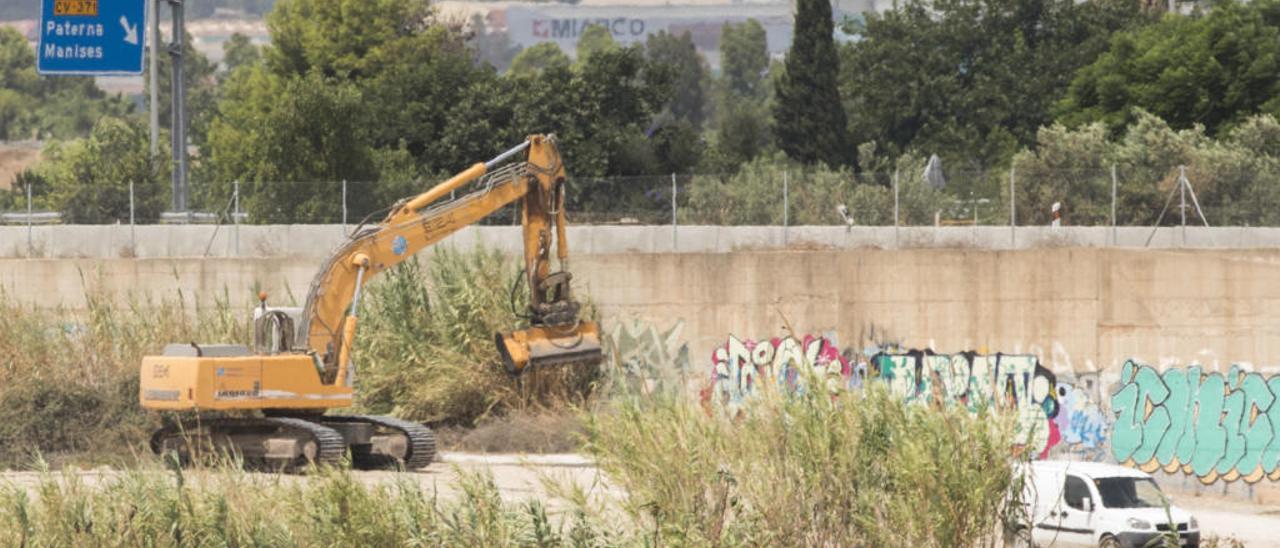 La CHJ limpia el cauce del Turia solo aguas arriba pese a pedirlo Ribó desde hace 1 año