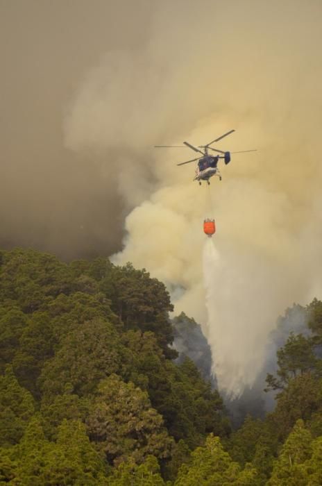 INCENDIO EN LA PALMA