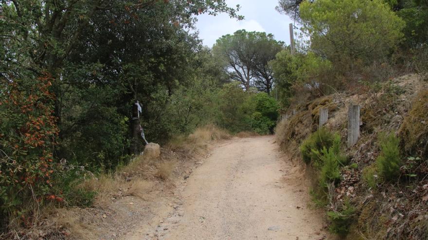 Vídeo | Troben un cadàver en avançat estat de descomposició prop de Blanes